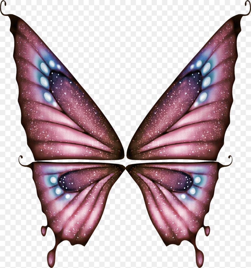 Butterfly Clipart, Accessories, Fractal, Ornament, Pattern Free Png