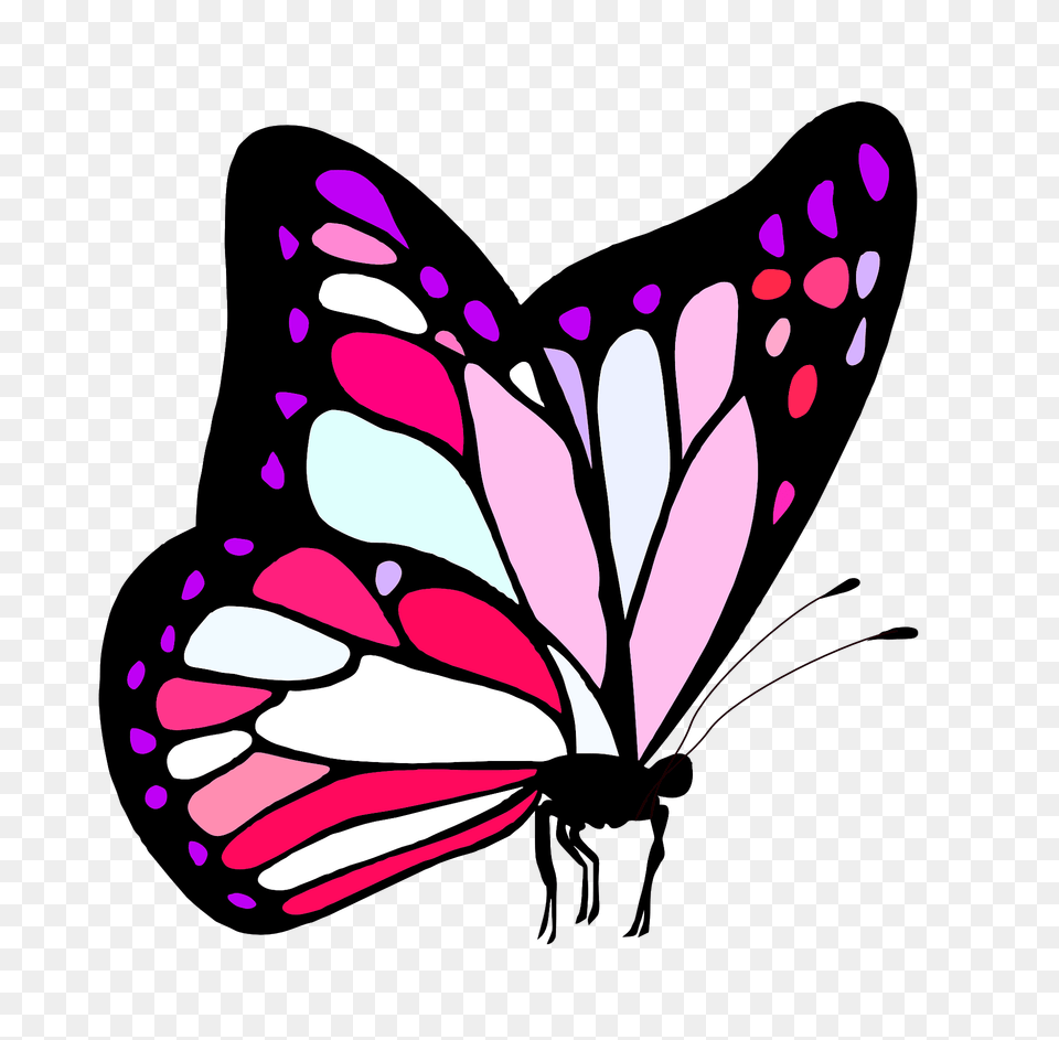 Butterfly Clipart, Animal, Insect, Invertebrate Png