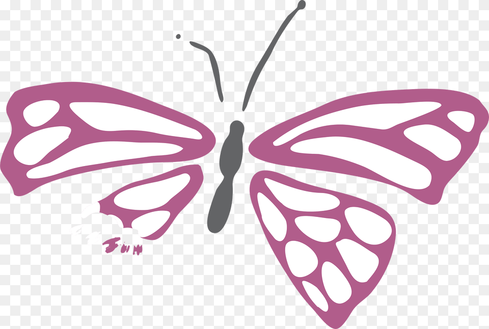Butterfly Clipart, Plant, Petal, Flower, Face Free Png