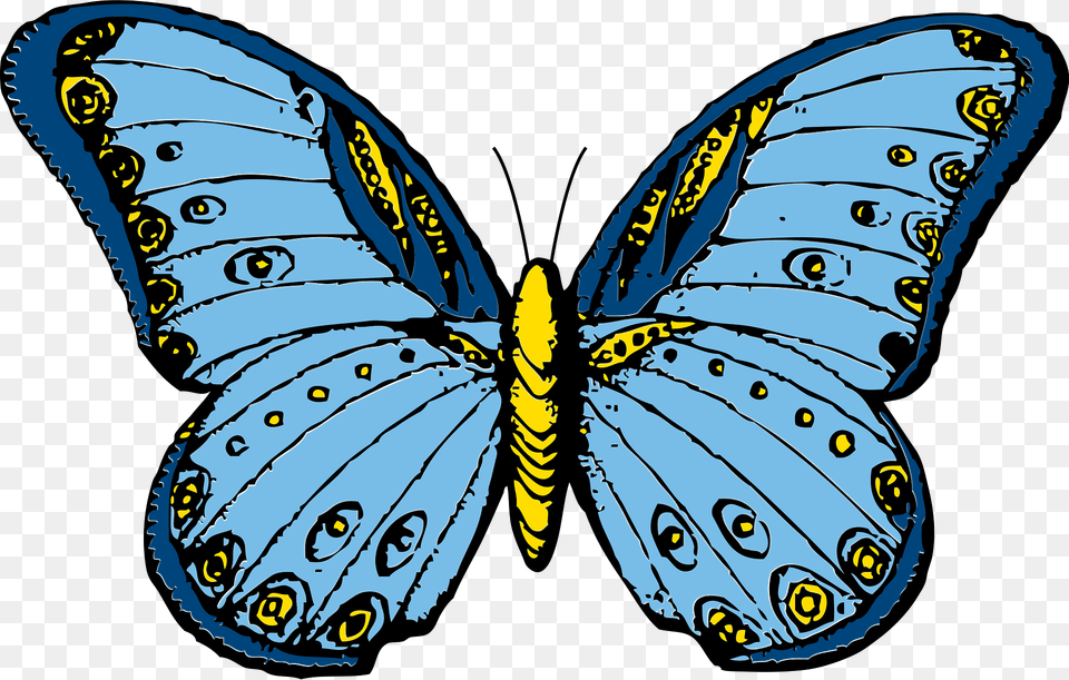 Butterfly Clipart, Animal, Baby, Insect, Invertebrate Png Image