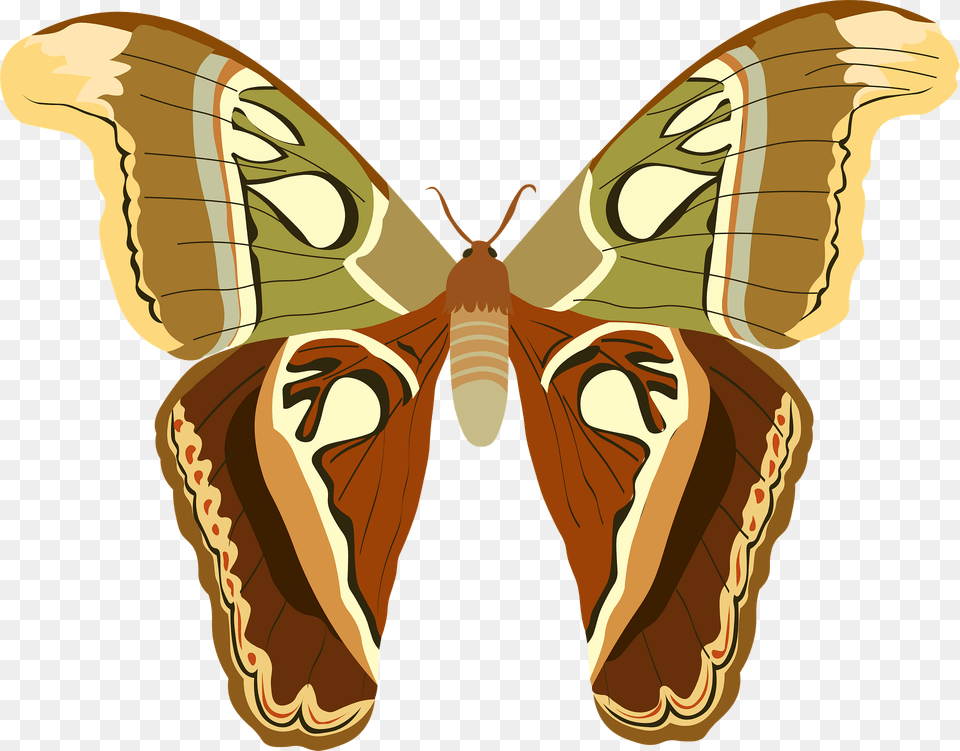 Butterfly Clipart, Animal, Insect, Invertebrate, Moth Png