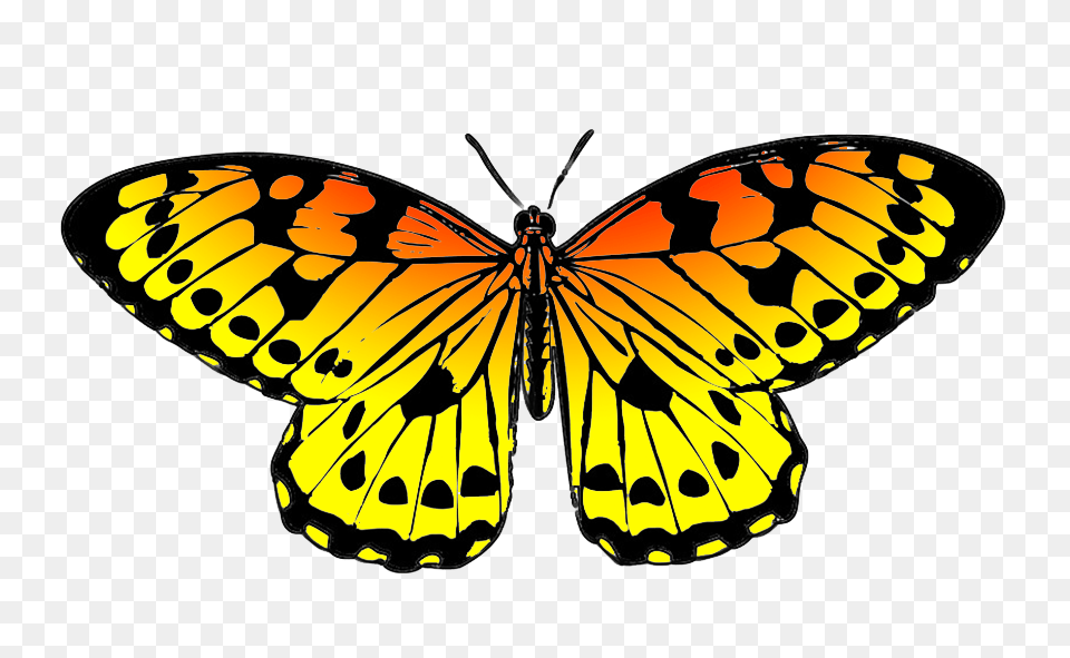 Butterfly Clipart, Animal, Insect, Invertebrate, Monarch Free Png Download