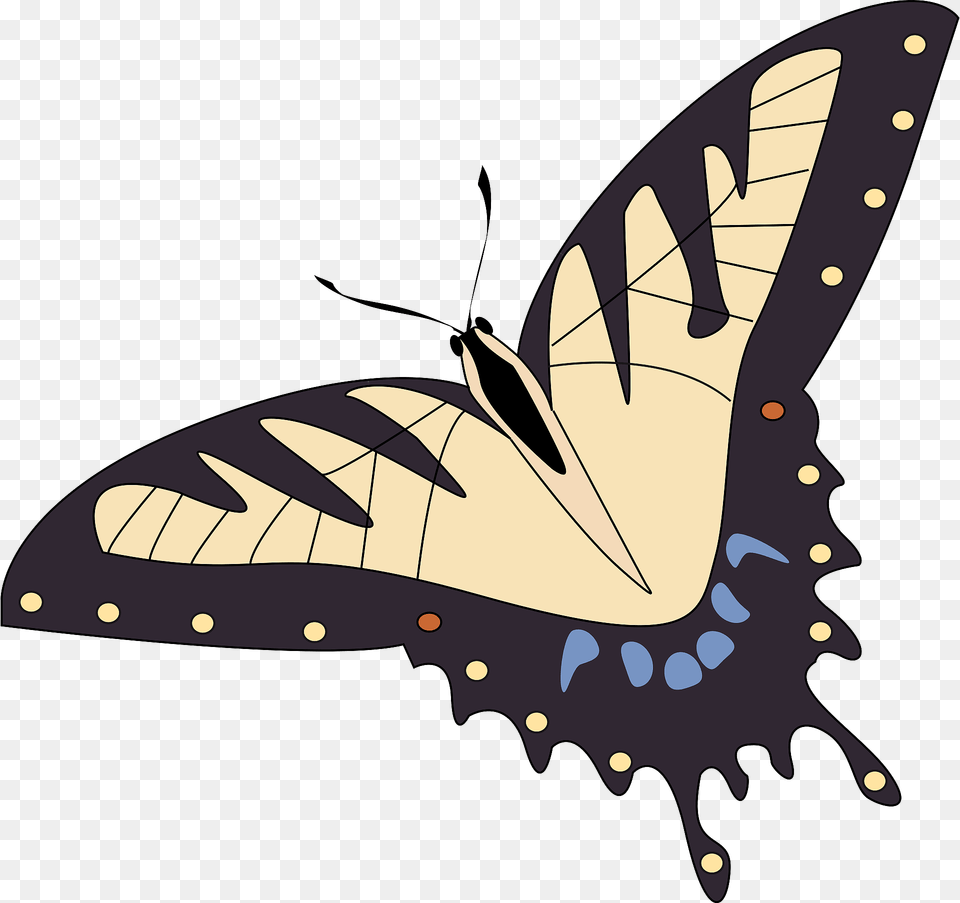 Butterfly Clipart, Animal, Insect, Invertebrate, Fish Free Transparent Png