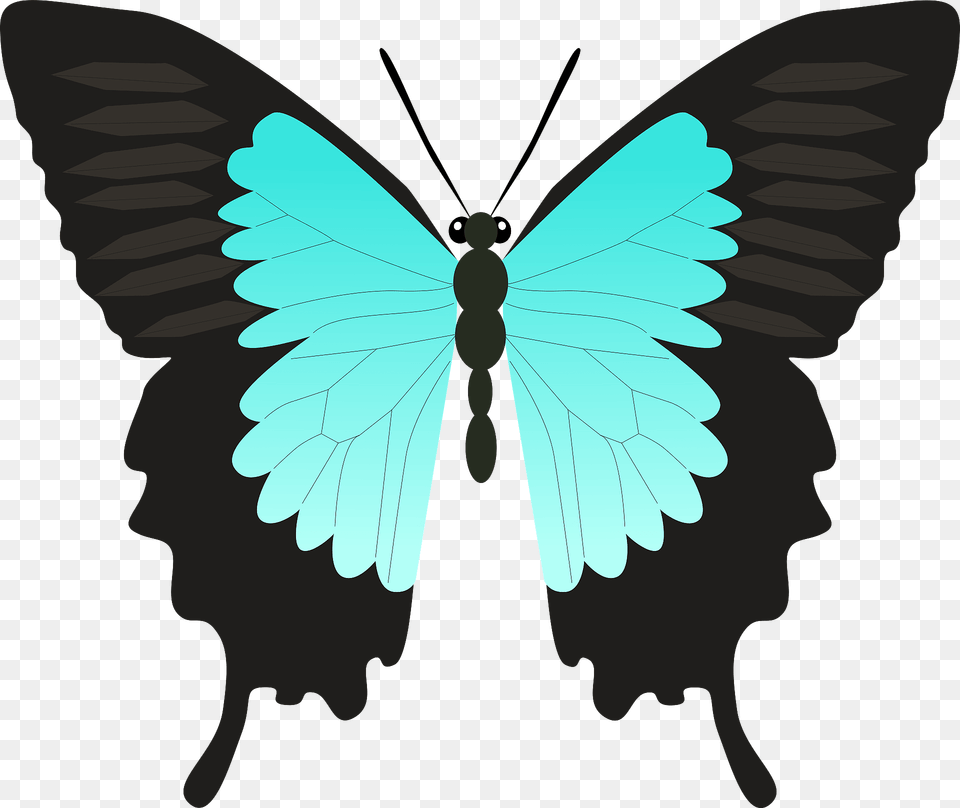 Butterfly Clipart, Animal, Insect, Invertebrate, Person Png Image