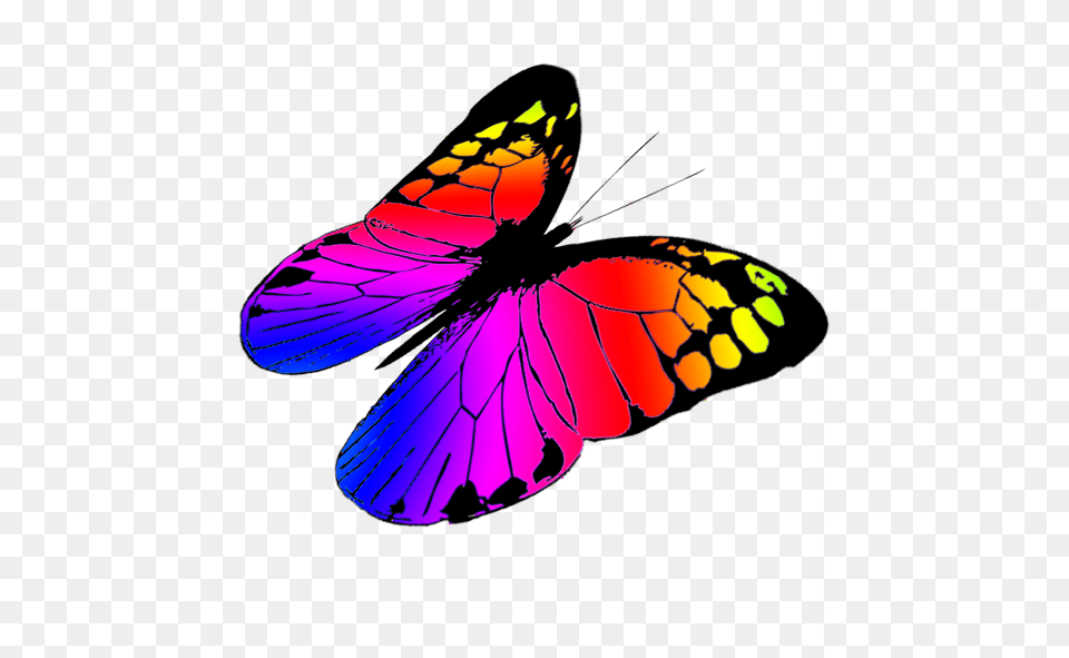 Butterfly Clipart, Purple, Animal, Insect, Invertebrate Png Image