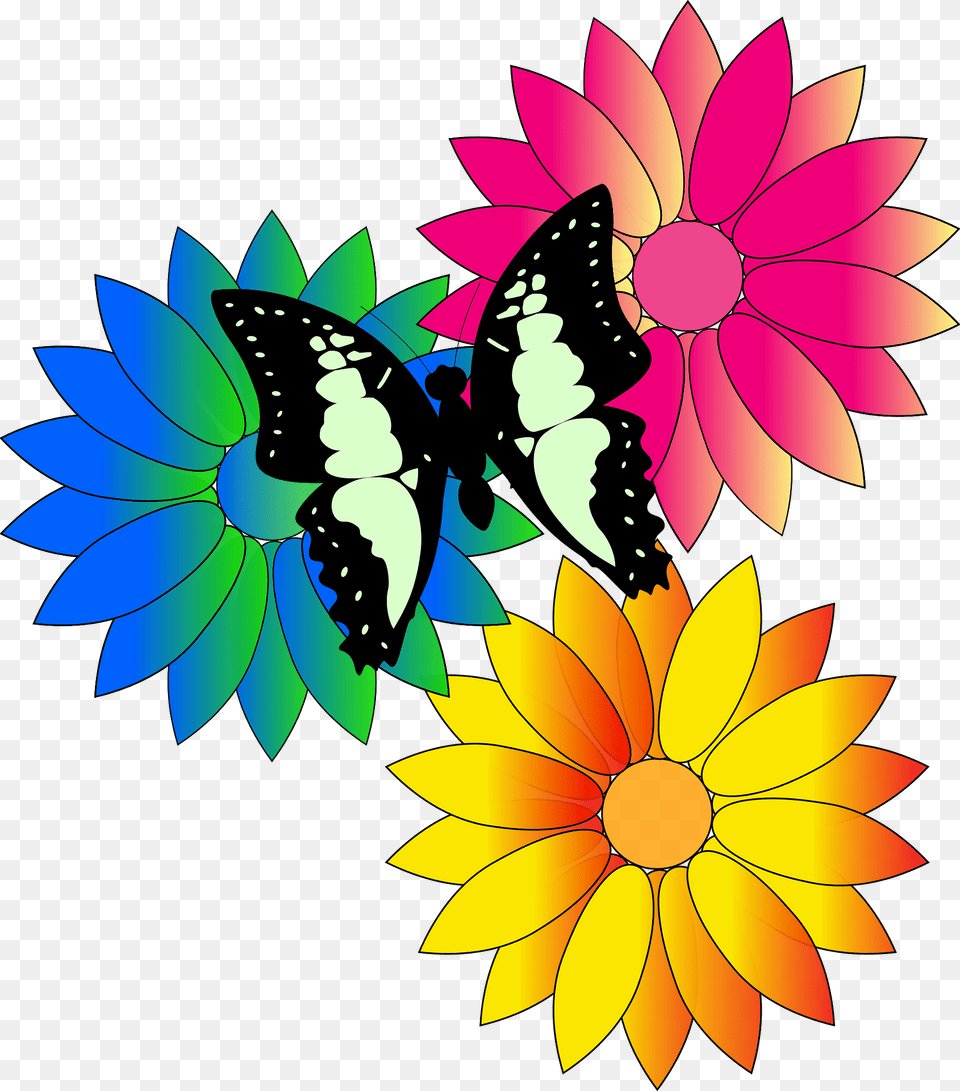 Butterfly Clipart, Dahlia, Daisy, Flower, Petal Png