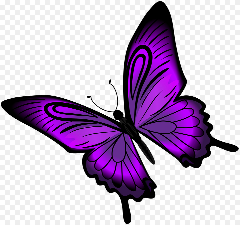 Butterfly Clipart Animal, Purple, Flower, Plant Free Png Download