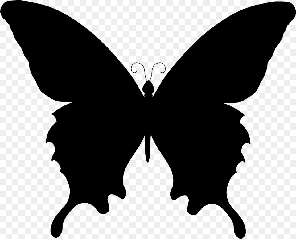 Butterfly Clipart Black And White Silhouette Of A Butterfly, Gray Png Image