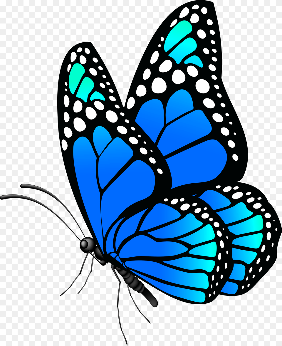 Butterfly Clipart Blue Butterflies, Animal, Insect, Invertebrate, Fish Png Image