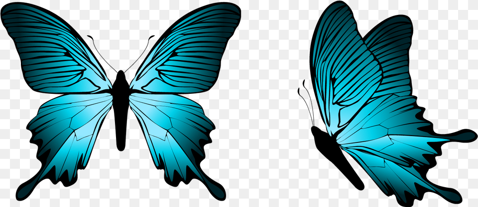 Butterfly Clipart Blue Butterfly, Turquoise, Animal Free Png