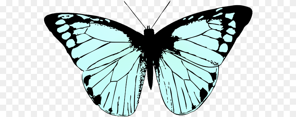 Butterfly Clipart Butterfly Black And White, Person, Animal, Insect, Invertebrate Free Png Download