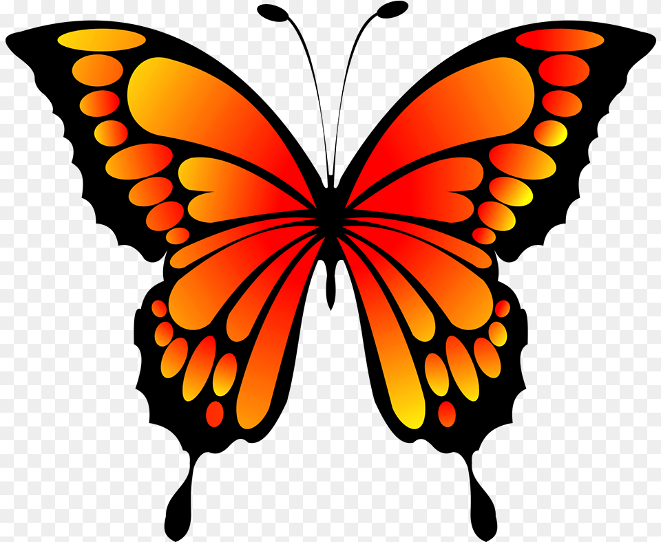 Butterfly Clipart Butterfly Clipart, Animal, Insect, Invertebrate Free Png
