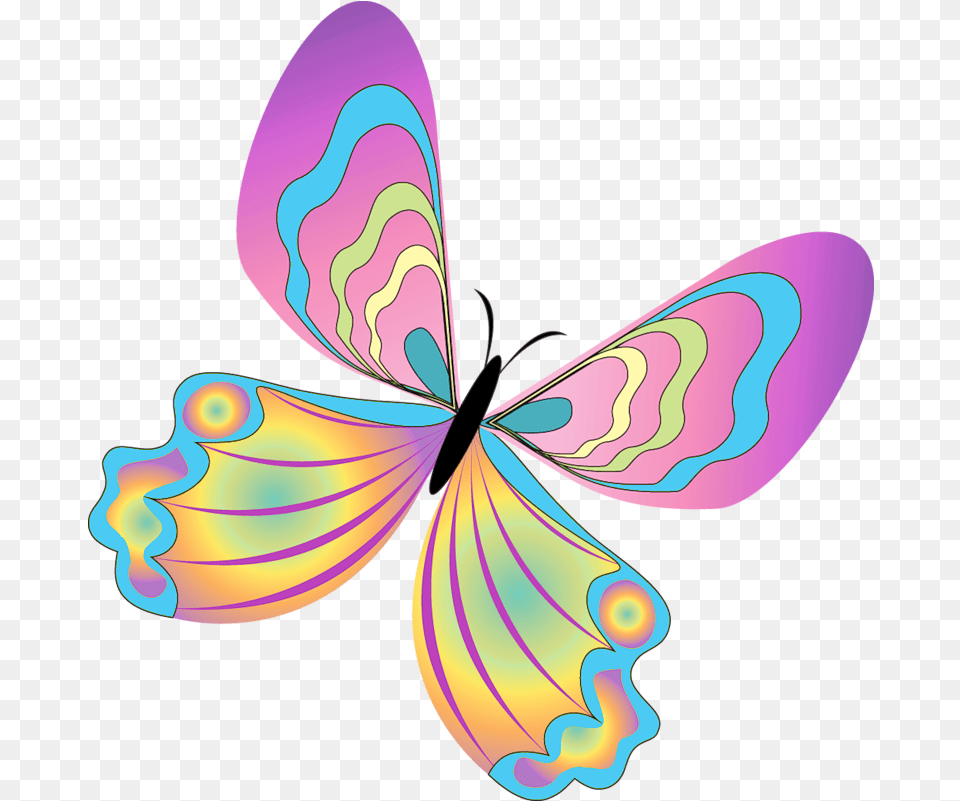 Butterfly Clipart Clipart Butterfly, Graphics, Art, Pattern, Floral Design Free Png