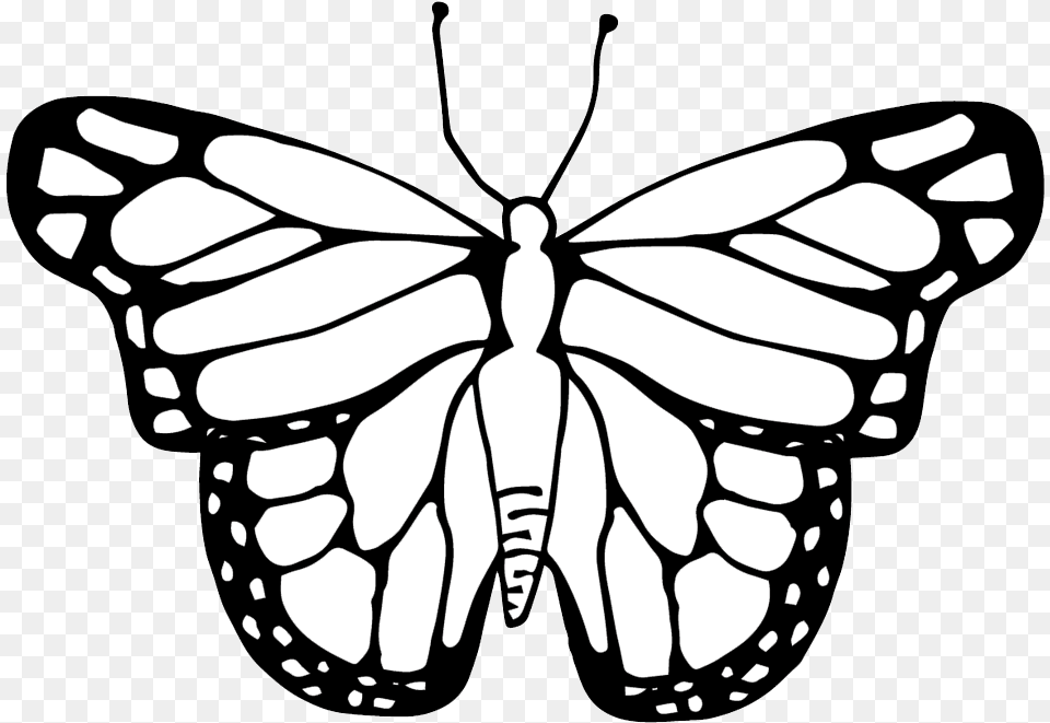Butterfly Clipart Coloring Worksheets Transparent Clipart Image Of A Butterfly, Stencil, Person, Animal, Insect Free Png