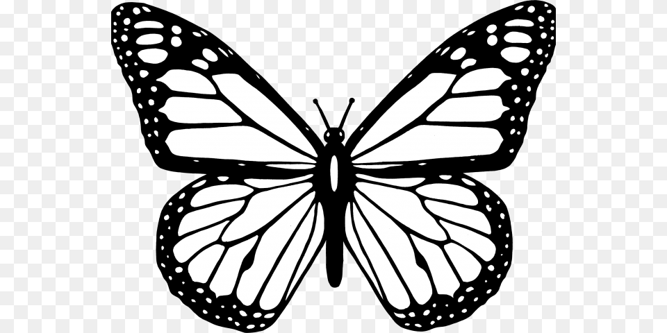Butterfly Clipart Easy, Stencil Png