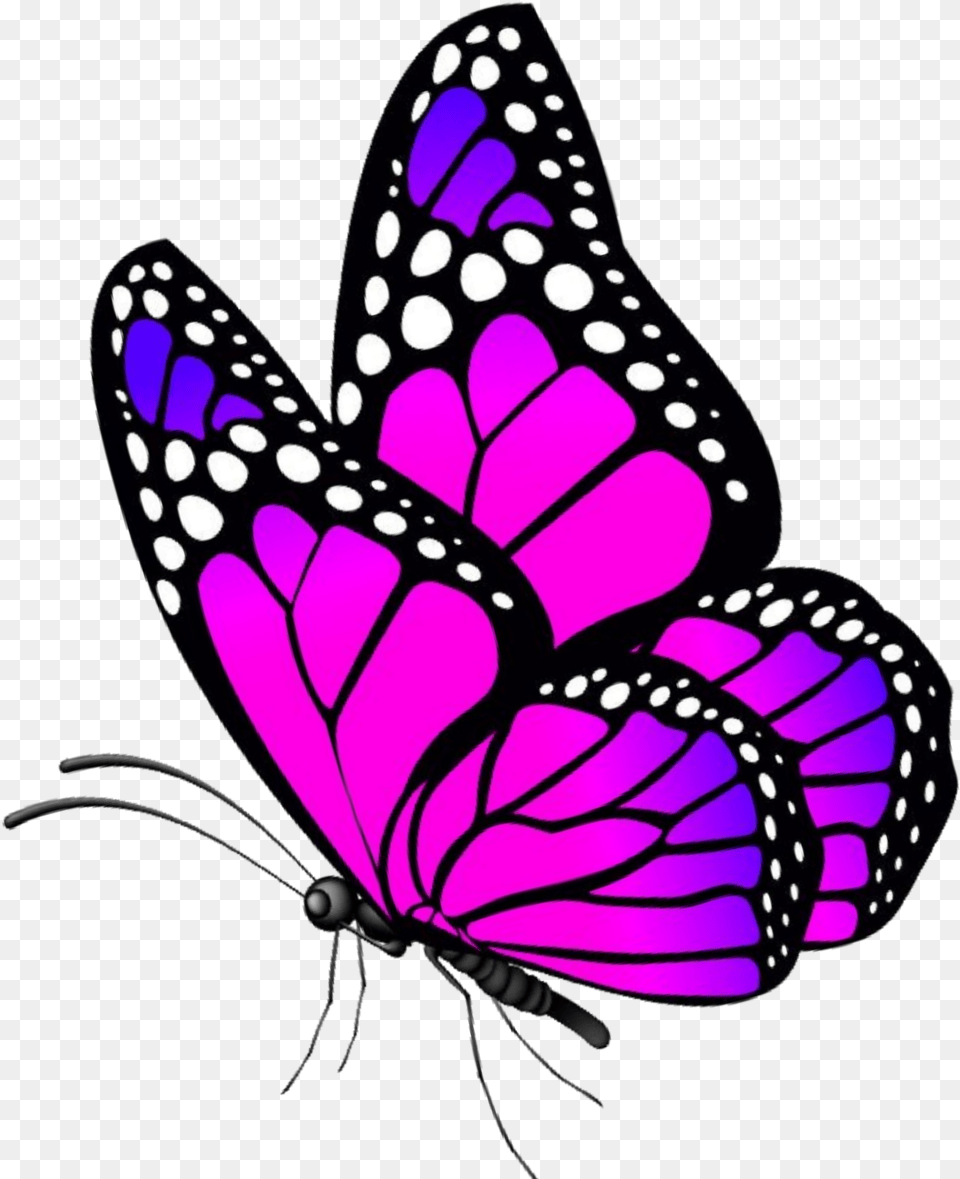 Butterfly Clipart Flower Butterfly, Purple, Animal, Insect, Invertebrate Png