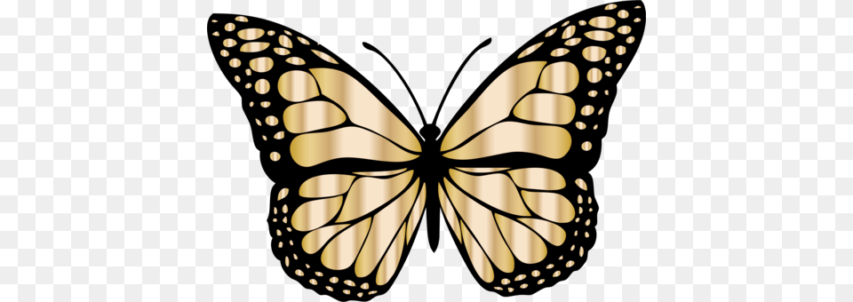 Butterfly Clipart Download, Animal, Insect, Invertebrate, Monarch Free Png