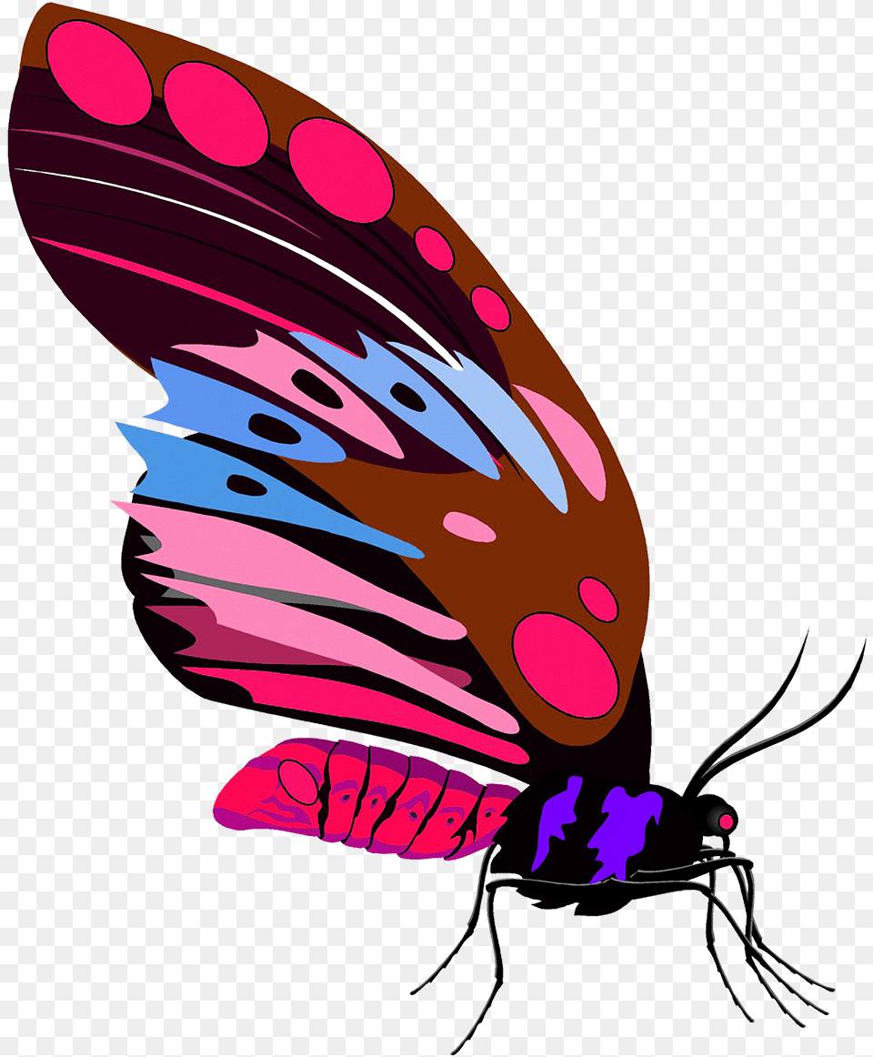 Butterfly Clipart Girly, Animal, Bee, Insect, Invertebrate Png Image
