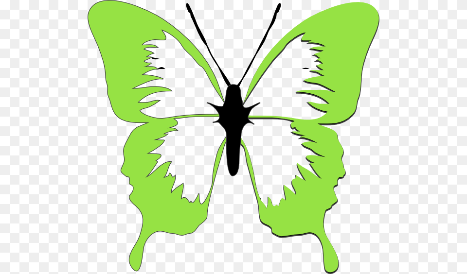 Butterfly Clipart Light Green, Leaf, Plant, Stencil, Person Free Transparent Png