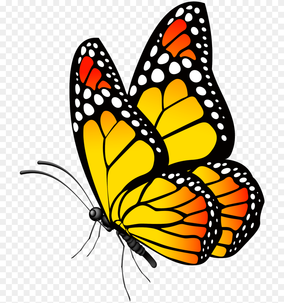 Butterfly Clipart Of Butterflies Winging, Animal, Insect, Invertebrate, Monarch Free Png Download