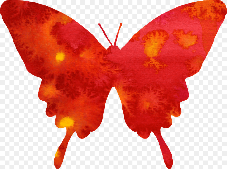 Butterfly Clipart Red Butterfly Watercolor Painting Red, Person, Accessories, Animal, Insect Free Png