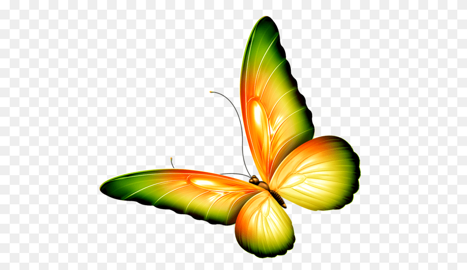 Butterfly Clipart Yellow And Green Transparent, Art, Graphics, Animal, Insect Free Png