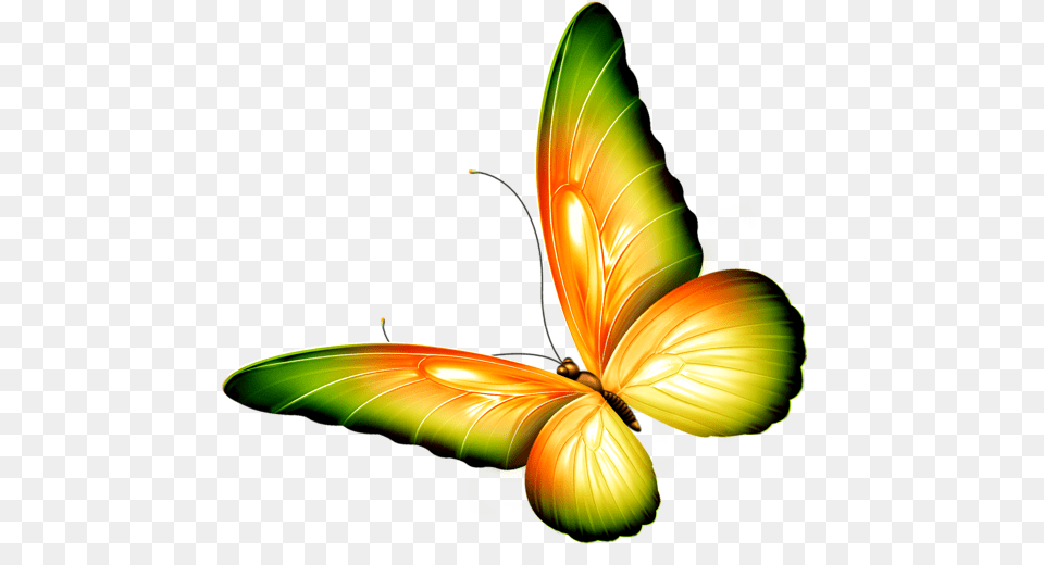 Butterfly Clipart Yellow And Green Butterfly Clipart Background, Art, Graphics, Pattern, Animal Free Transparent Png
