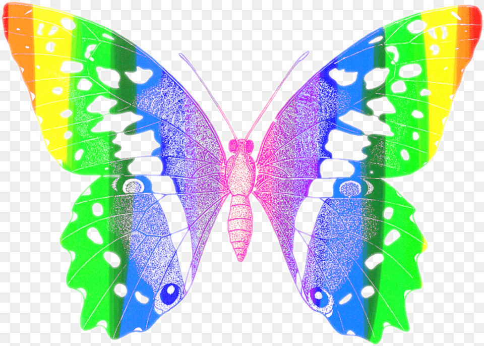 Butterfly Colorful Butterflyeffect Red Orange Papilio Machaon, Animal, Insect, Invertebrate, Spider Png