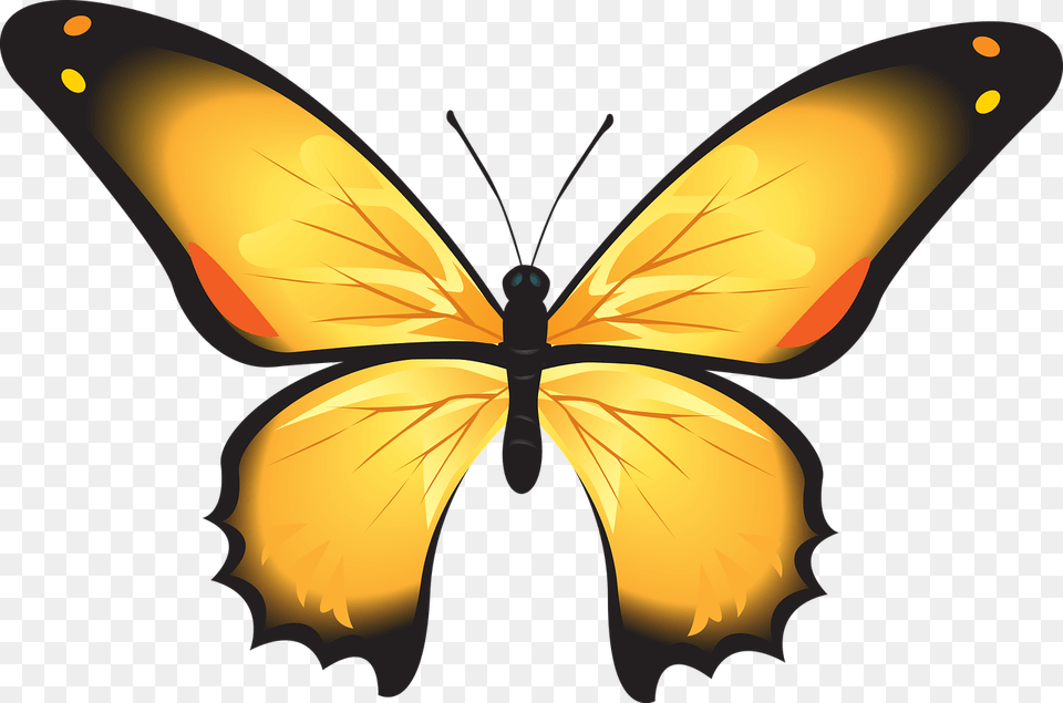 Butterfly Colorful Yellow Insect Decoration, Appliance, Ceiling Fan, Device, Electrical Device Free Png