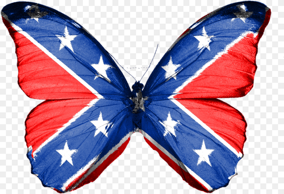 Butterfly Confederate South Rebel Insect Confederate Butterfly, Flag Free Transparent Png