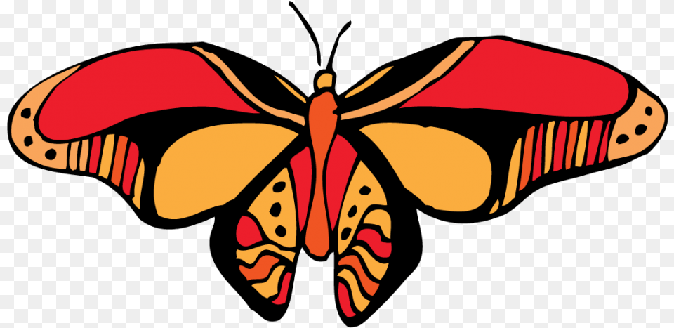 Butterfly Cynthia Subgenus, Animal, Insect, Invertebrate, Moth Free Transparent Png