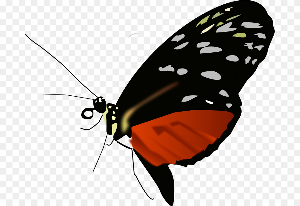 Butterfly Dark, Animal, Insect, Invertebrate, Person Free Png