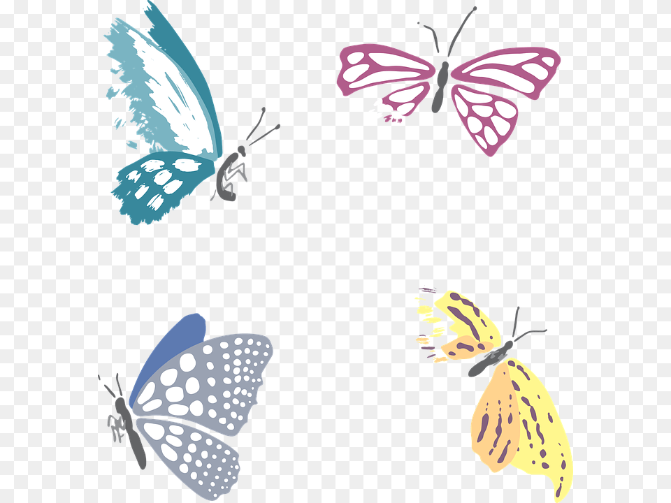 Butterfly Dead Death Insect Gloomy Multi Color, Animal, Bird, Flying, Art Free Transparent Png