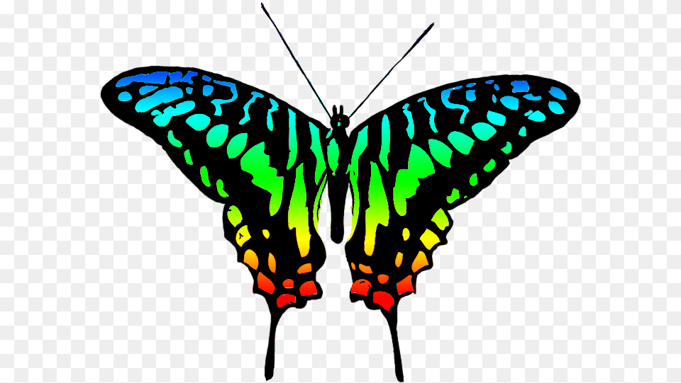 Butterfly Design Clipart Colourful Butterfly Multi Colour Butterfly, Animal, Insect, Invertebrate, Chandelier Free Png Download