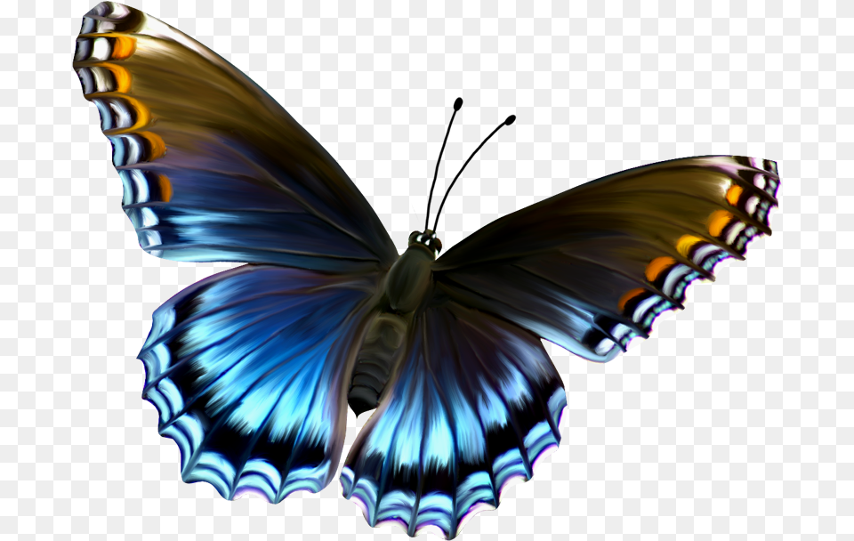 Butterfly Download, Animal, Insect, Invertebrate, Person Png Image