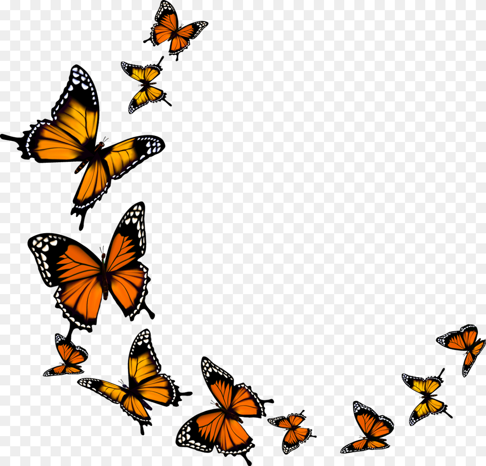 Butterfly Download Background Monarch Butterfly Clipart, Animal, Insect, Invertebrate Free Transparent Png