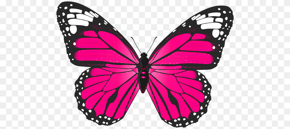 Butterfly Download Transparent Image Arts, Animal, Appliance, Ceiling Fan, Device Png