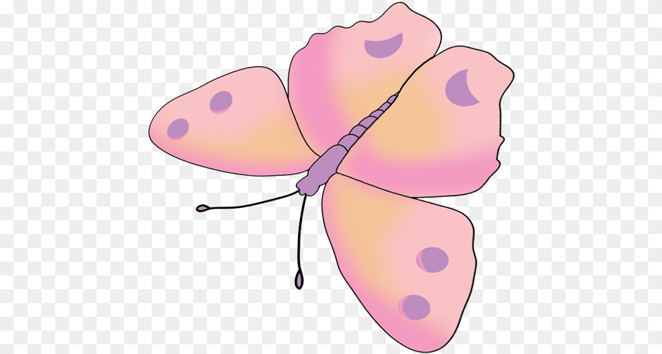 Butterfly Drawing Pink, Animal, Dragonfly, Insect, Invertebrate Free Png