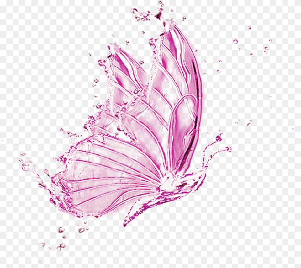 Butterfly Effect, Graphics, Art, Purple, Flower Png