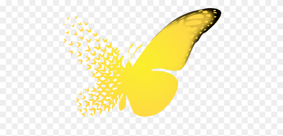 Butterfly Effect Butterfly Effect Logo, Flower, Petal, Plant, Pollen Free Png Download