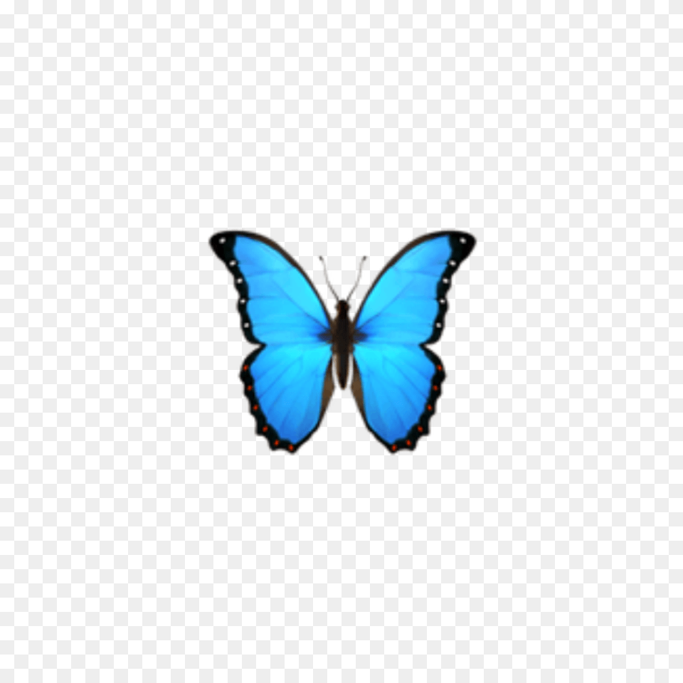 Butterfly Emoji Domain Iphone Ios Butterfly Emoji Transparent, Animal, Insect, Invertebrate Free Png Download