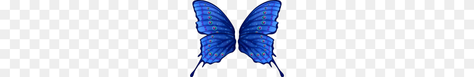 Butterfly Fairy Wings, Person, Animal, Insect, Invertebrate Free Png Download