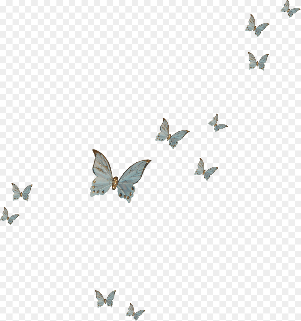 Butterfly Fly Clip Art Purple Butterfly, Animal, Bird, Flying, Wildlife Free Png Download