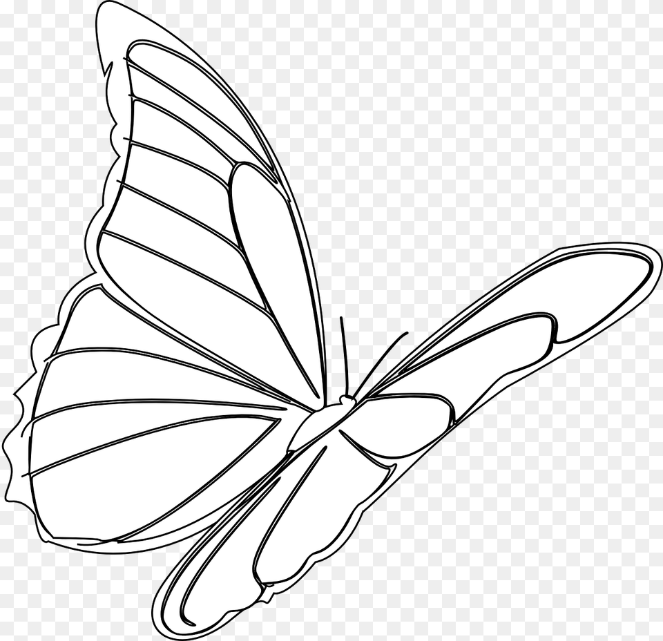 Butterfly Flying Insect Monarch Bug Outline Hinh Anh Con Buom Bay, Art, Stencil, Animal, Fish Png