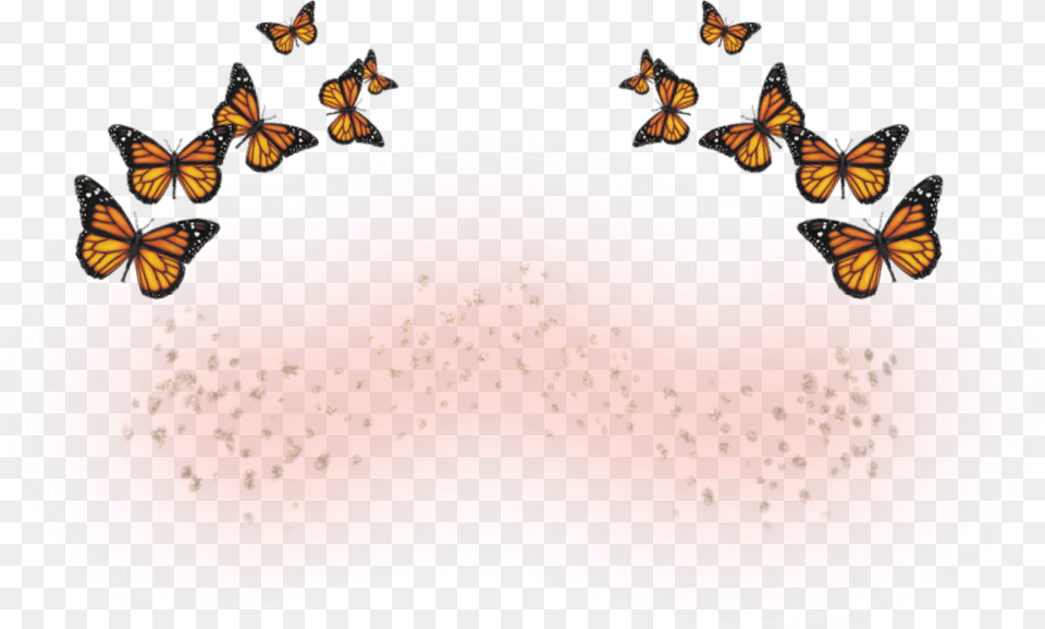 Butterfly Freckles Marjfvck Freetoedit Butterfly Freckles, Animal, Insect, Invertebrate, Monarch Free Png