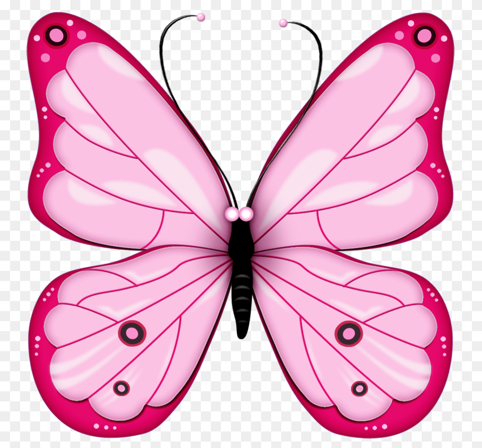 Butterfly Picture Download, Animal, Insect, Invertebrate Free Png