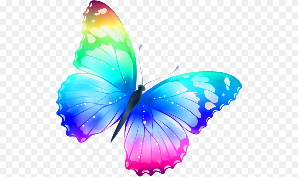 Butterfly Free Picture Download, Animal, Insect, Invertebrate Png Image