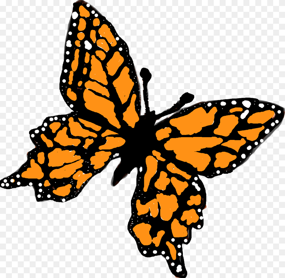 Butterfly Gardens Inc Butterfly, Animal, Insect, Invertebrate, Monarch Png Image