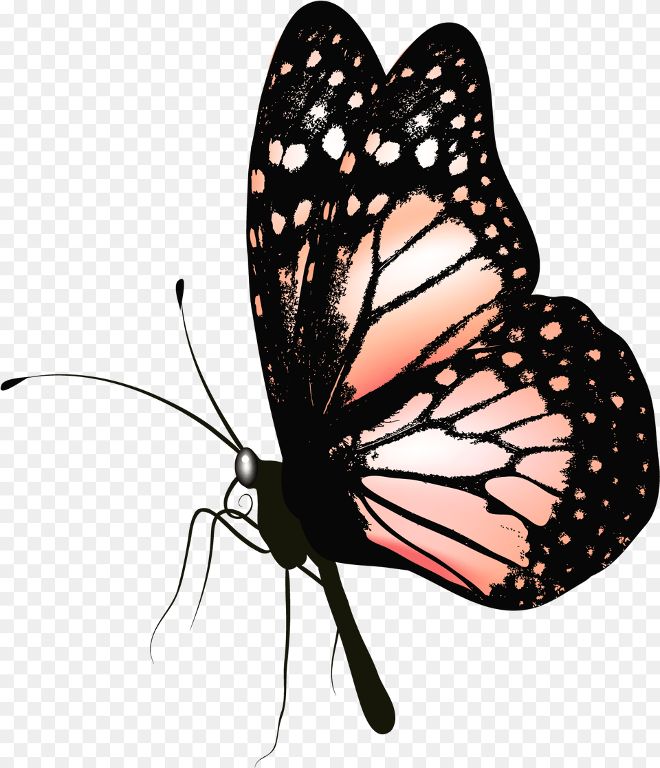 Butterfly Gif Butterfly Gif, Animal, Insect, Invertebrate, Monarch Png