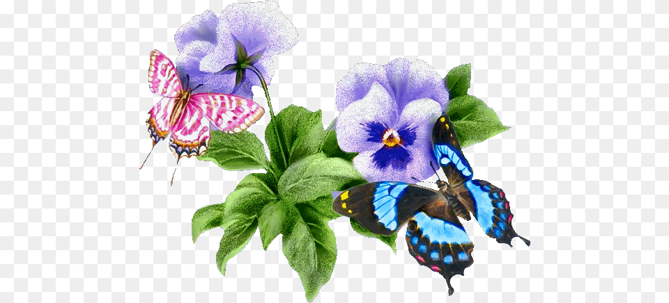 Butterfly Gifs Animated Transparent Nature Gif, Flower, Geranium, Plant, Anemone Free Png Download